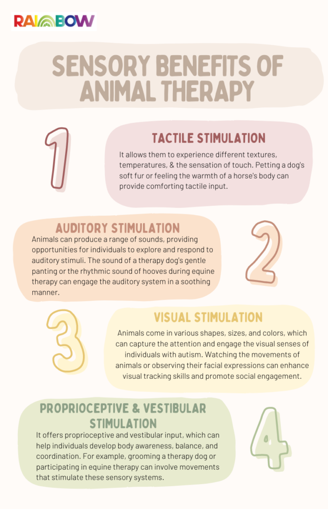 Sensory Benefits of Animal Therapy